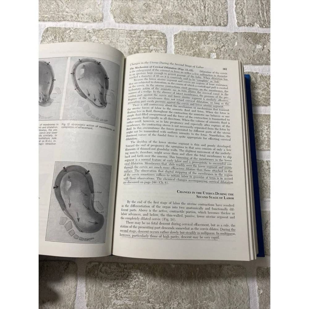 Unbranded this hardcover